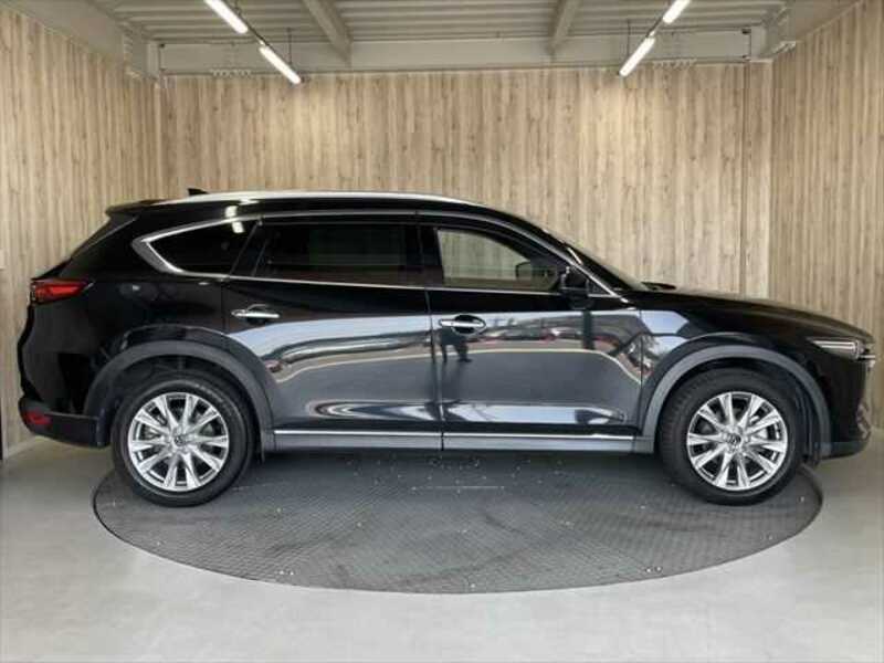 CX-8-15