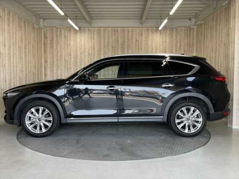 CX-8-19