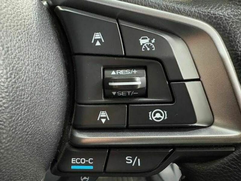 FORESTER-5