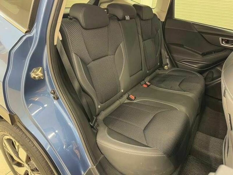 FORESTER-8