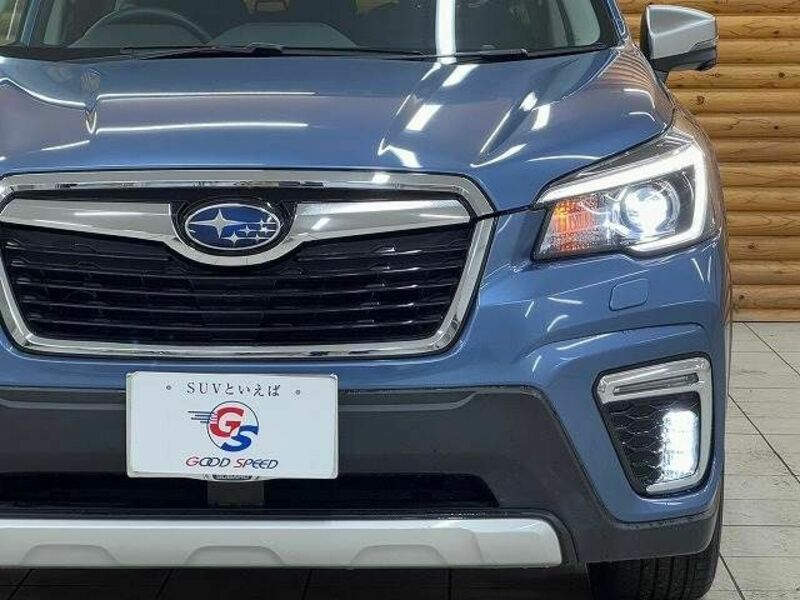 FORESTER-9