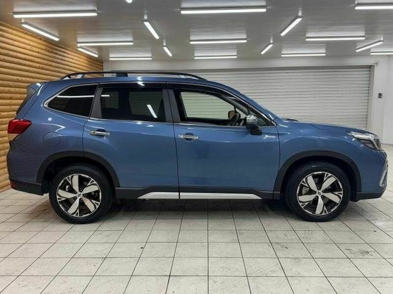 FORESTER-17