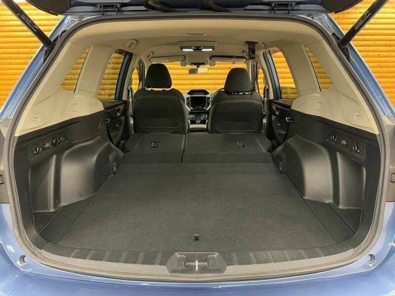 FORESTER-19