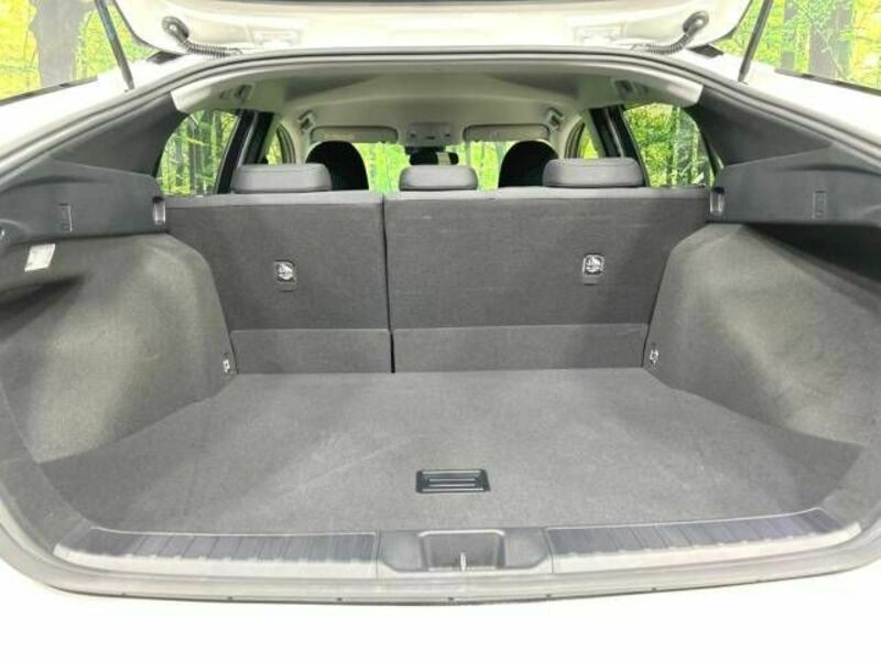 PRIUS-10