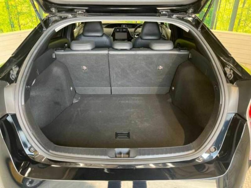 PRIUS-9