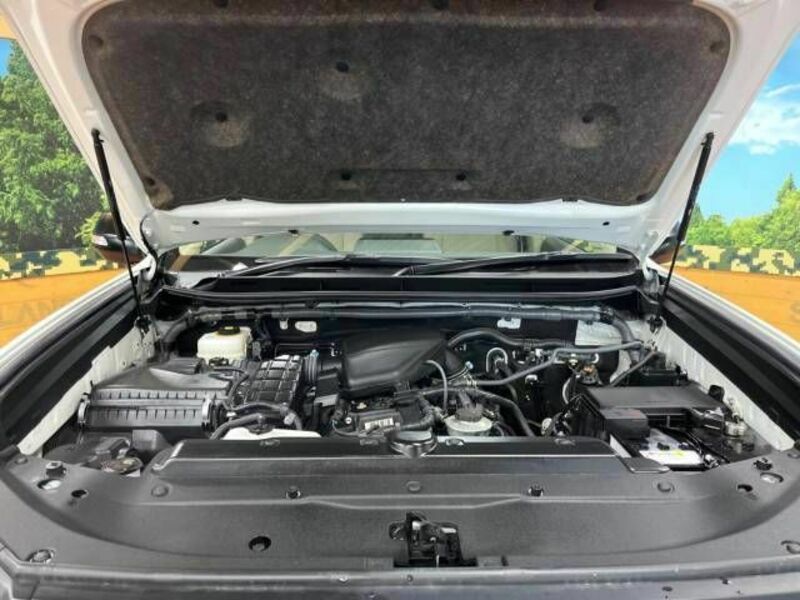LAND CRUISER PRADO-18