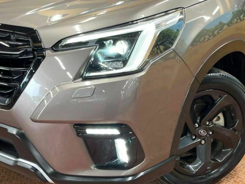 FORESTER-11