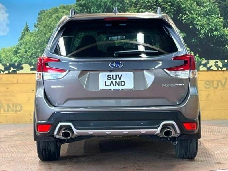 FORESTER-14