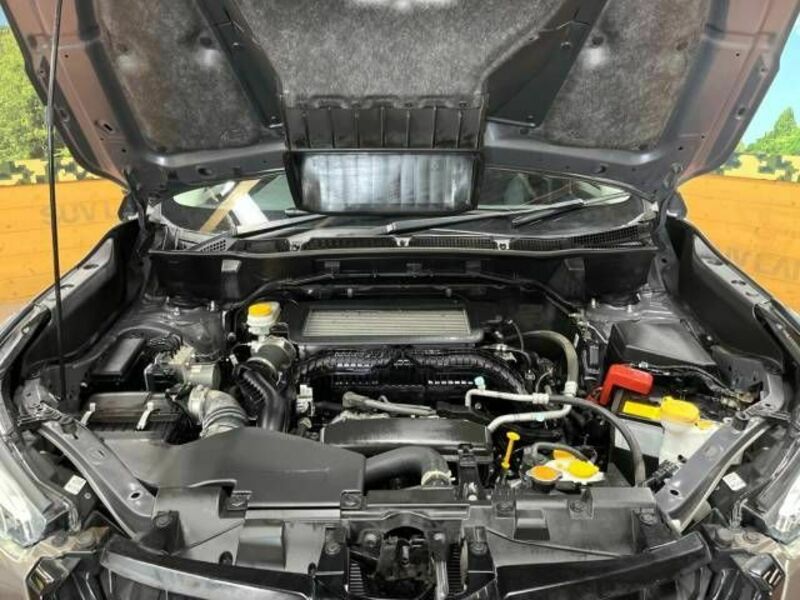 FORESTER-17