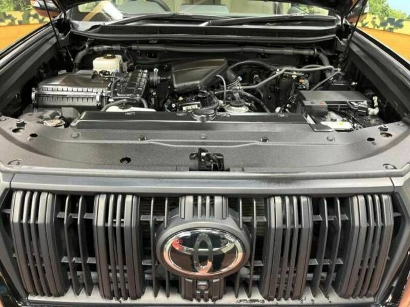 LAND CRUISER PRADO-18