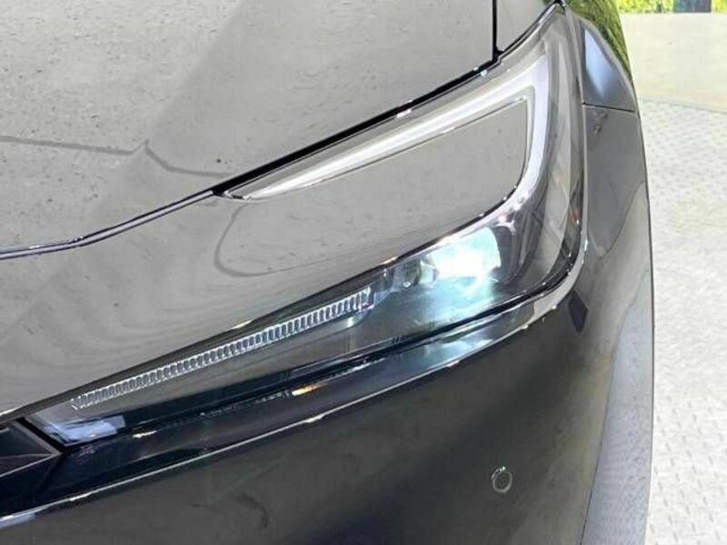 PRIUS-11