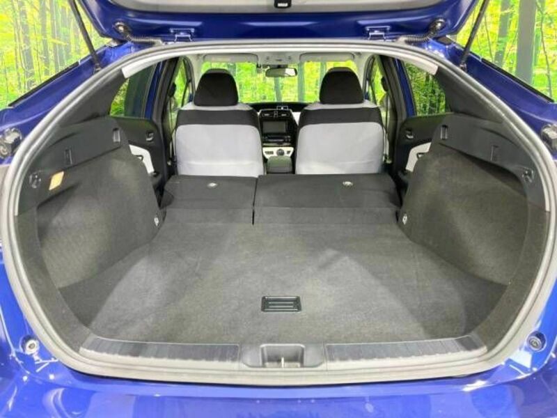 PRIUS-9