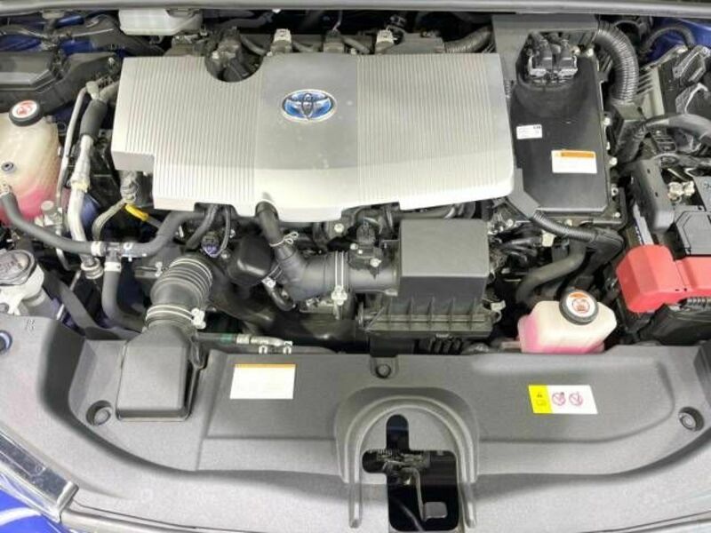 PRIUS-17