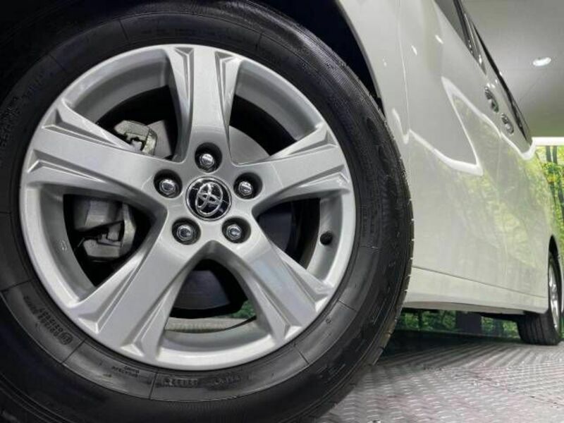 ALPHARD-13