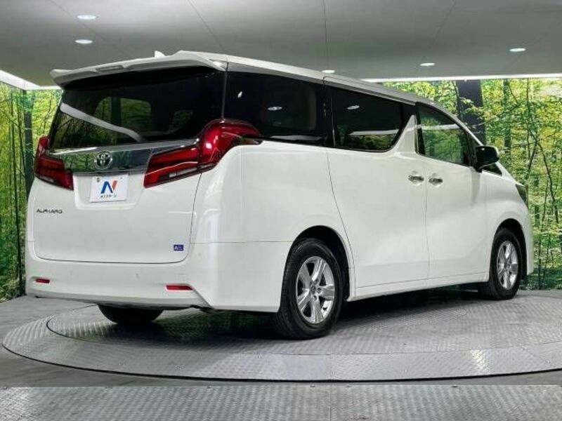 ALPHARD-17