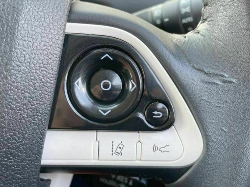 PRIUS-4