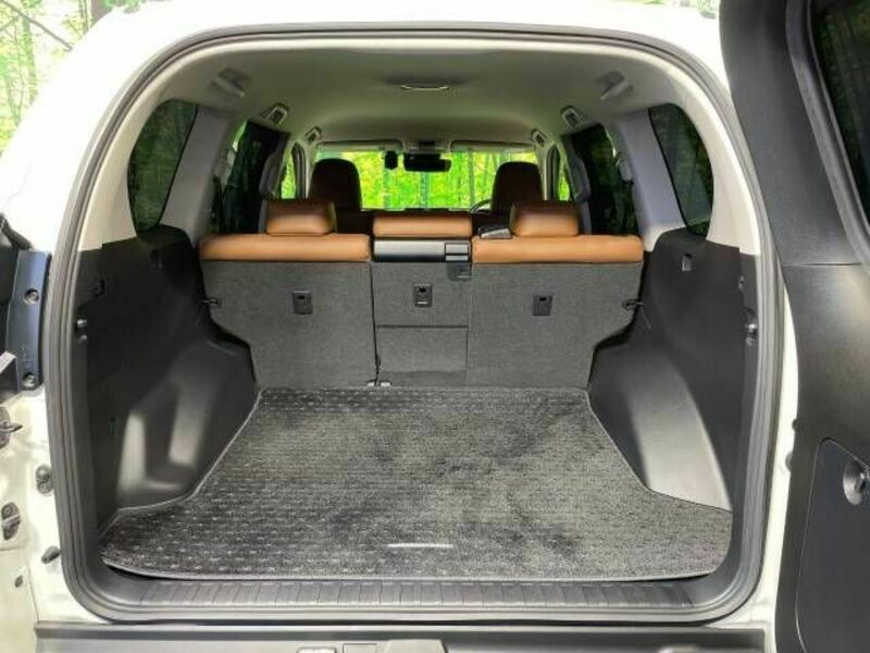 LAND CRUISER PRADO-12