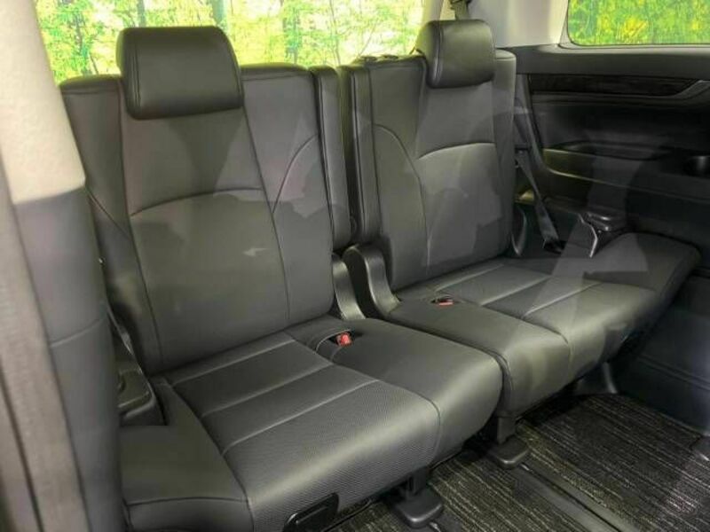 ALPHARD-10