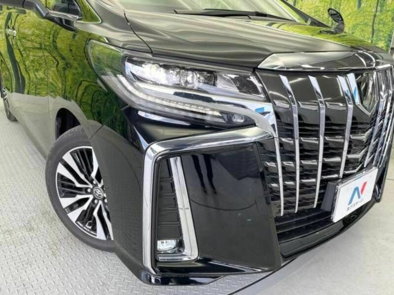 ALPHARD-13