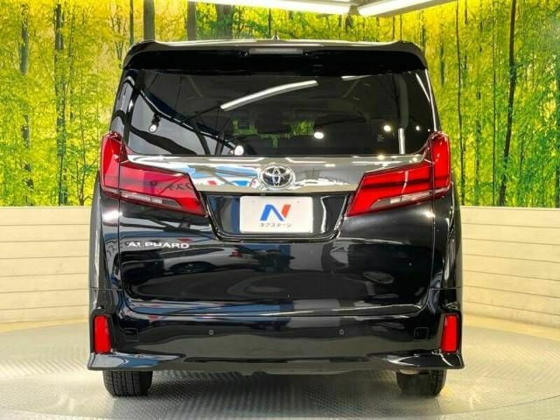 ALPHARD-16