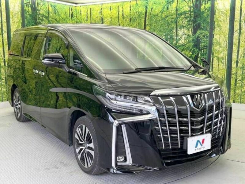 ALPHARD-17