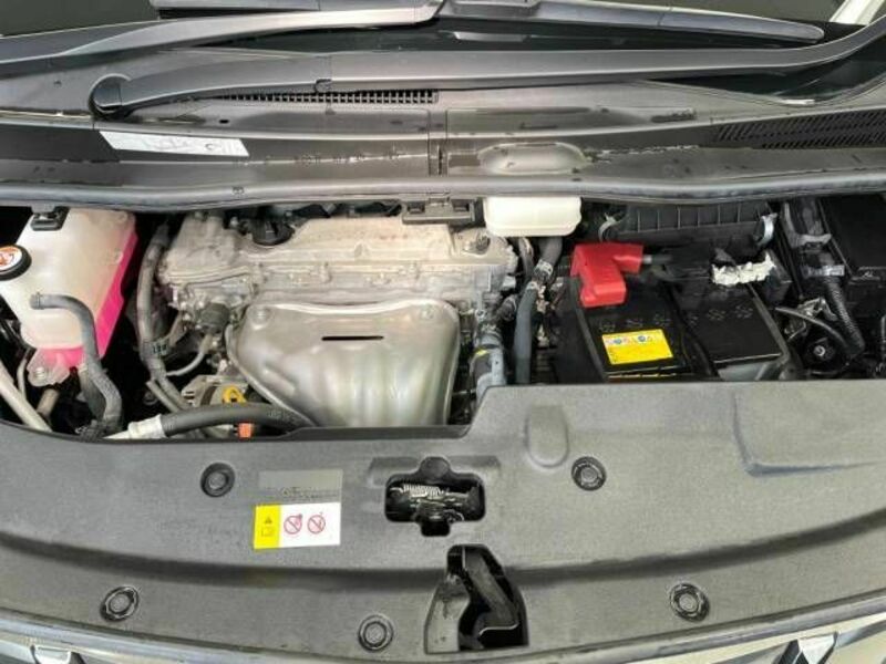 ALPHARD-18