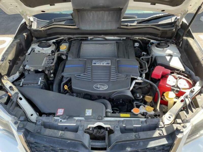 FORESTER-17
