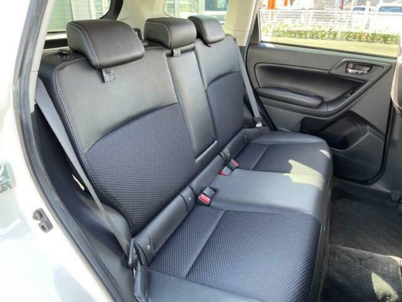 FORESTER-8