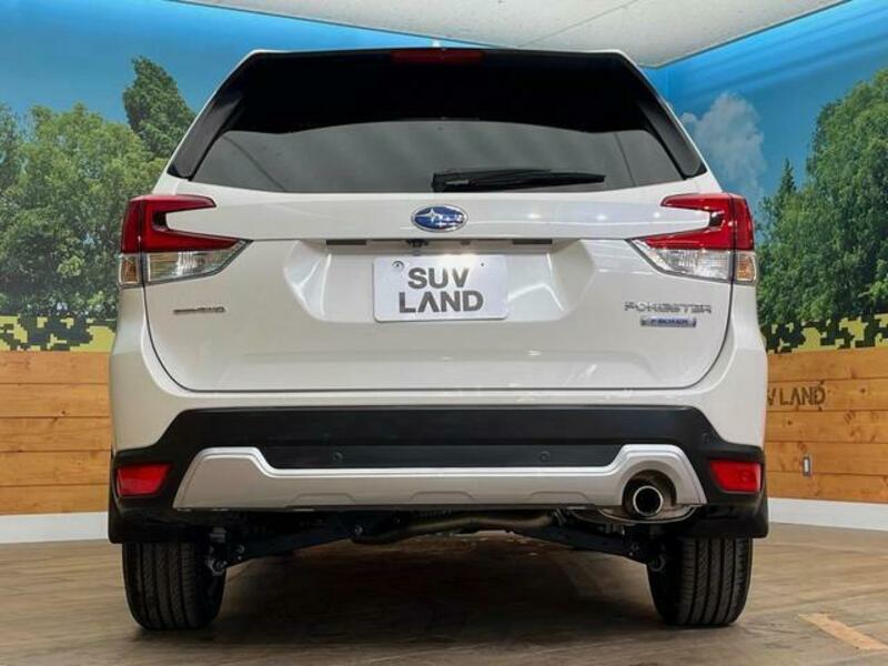 FORESTER-15
