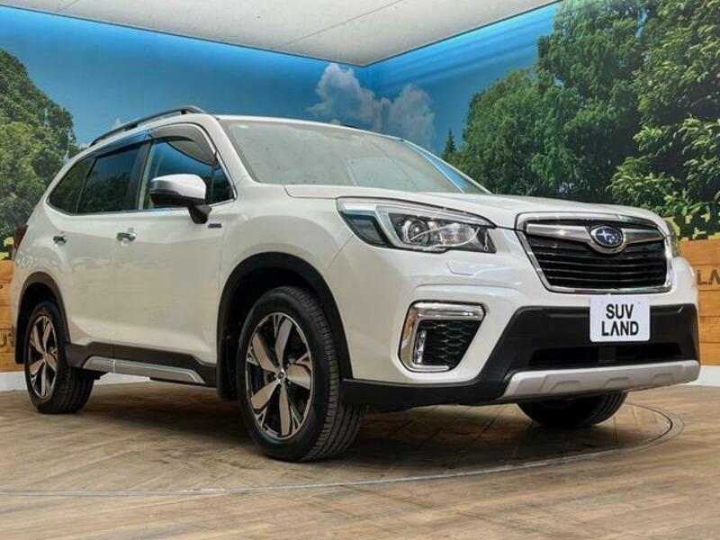 FORESTER-16