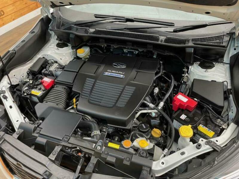 FORESTER-18