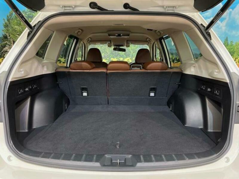 FORESTER-10