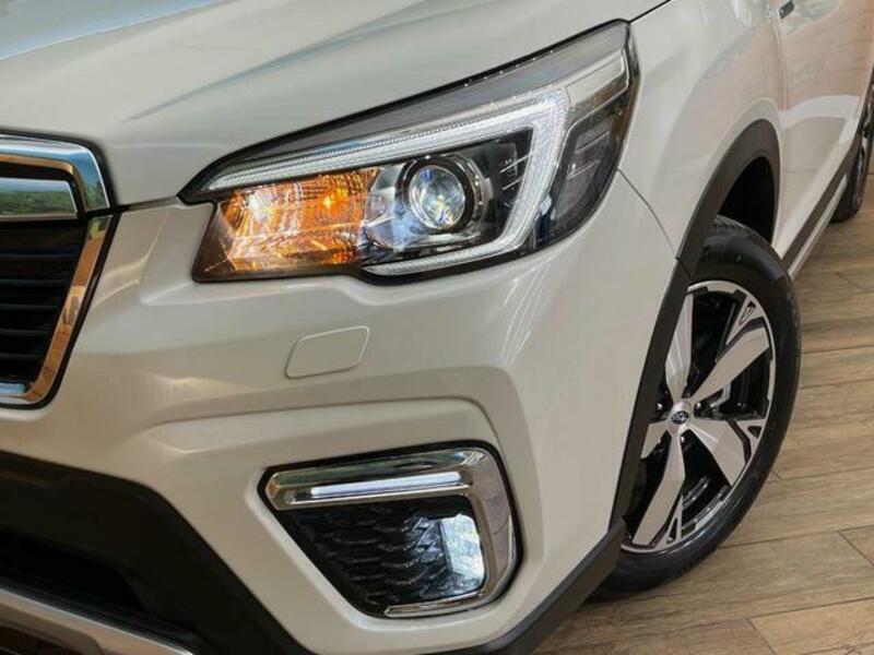 FORESTER-12
