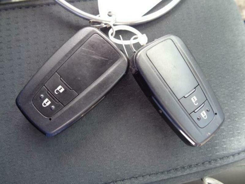 PRIUS-15