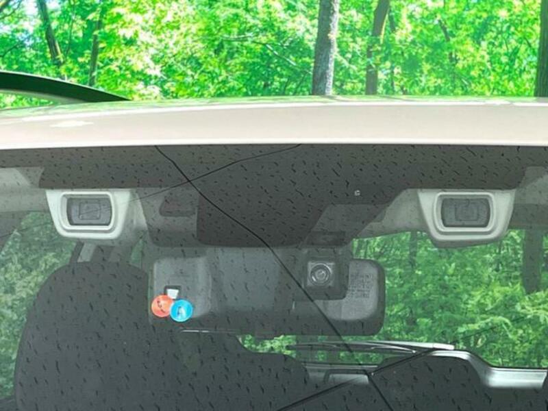 FORESTER-4