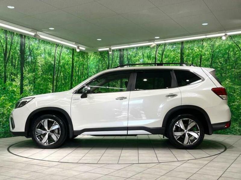 FORESTER-15