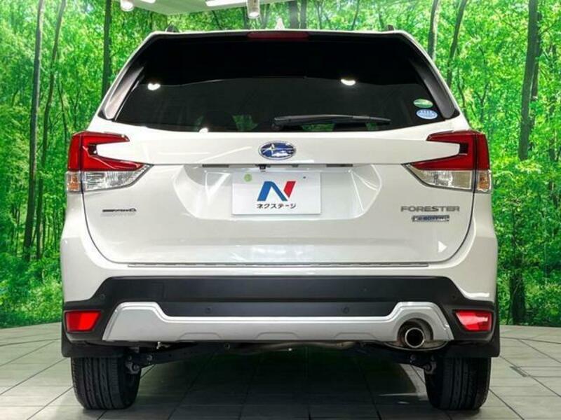 FORESTER-17