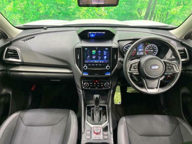 FORESTER-1
