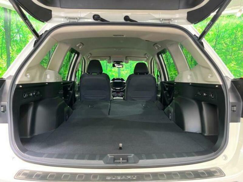 FORESTER-10