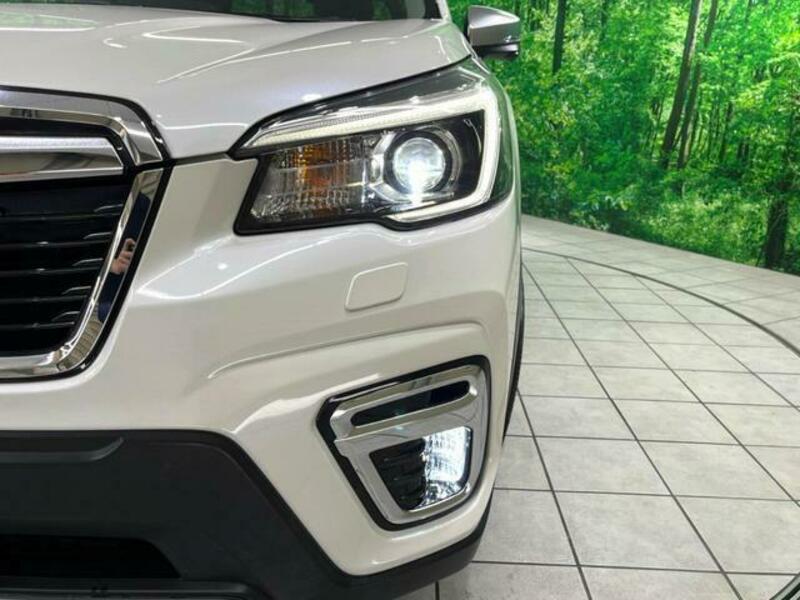 FORESTER-13