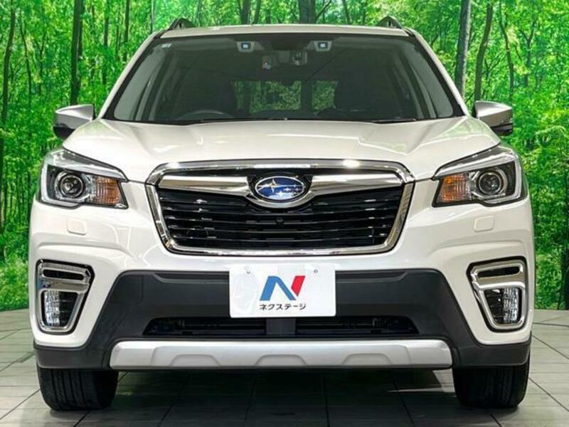 FORESTER-14