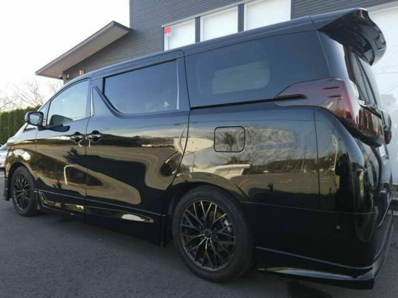 ALPHARD-3