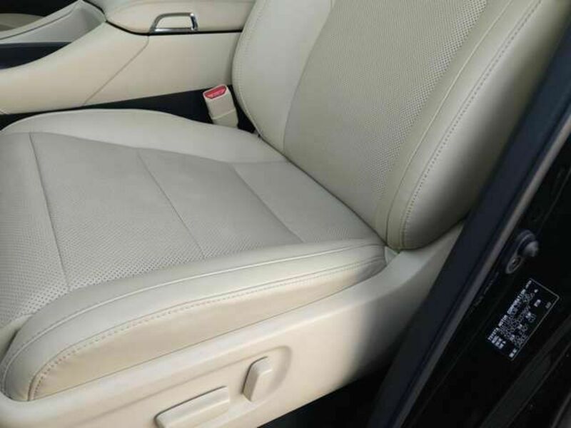 ALPHARD-7