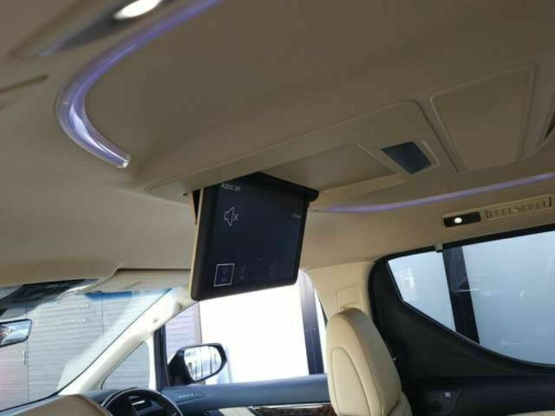 ALPHARD-13