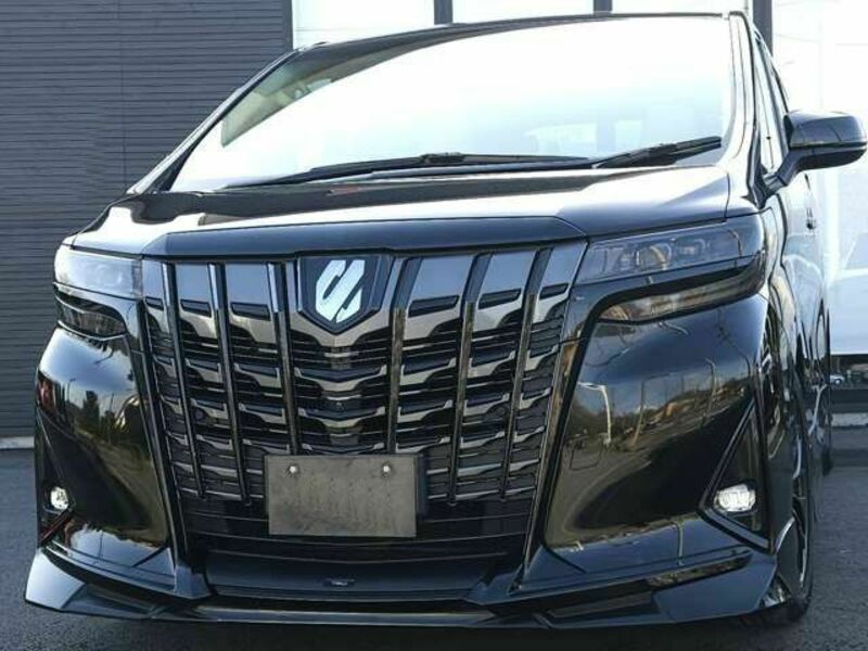 ALPHARD-26