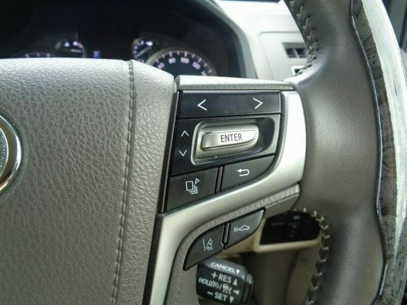 LAND CRUISER PRADO-17