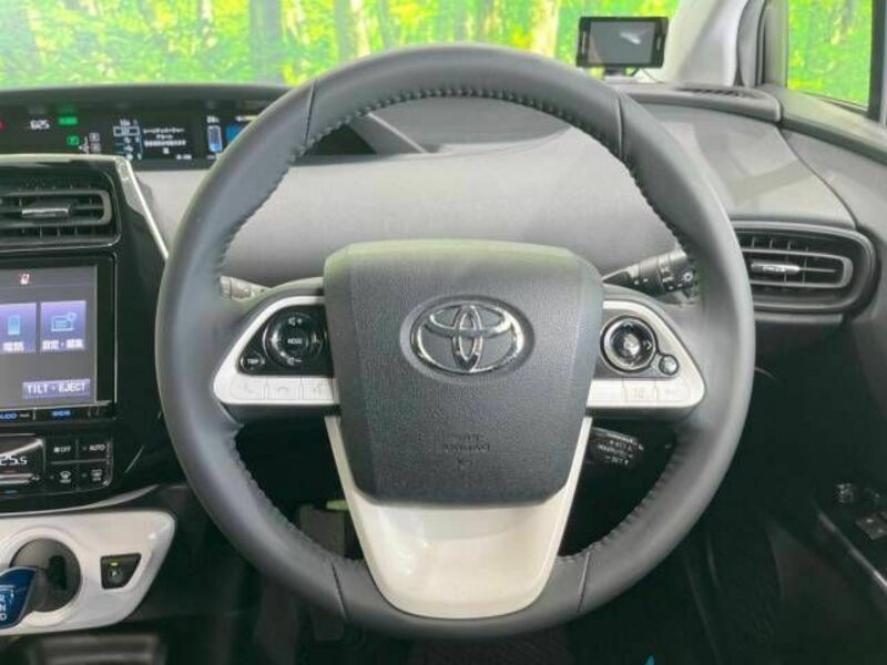 PRIUS-10