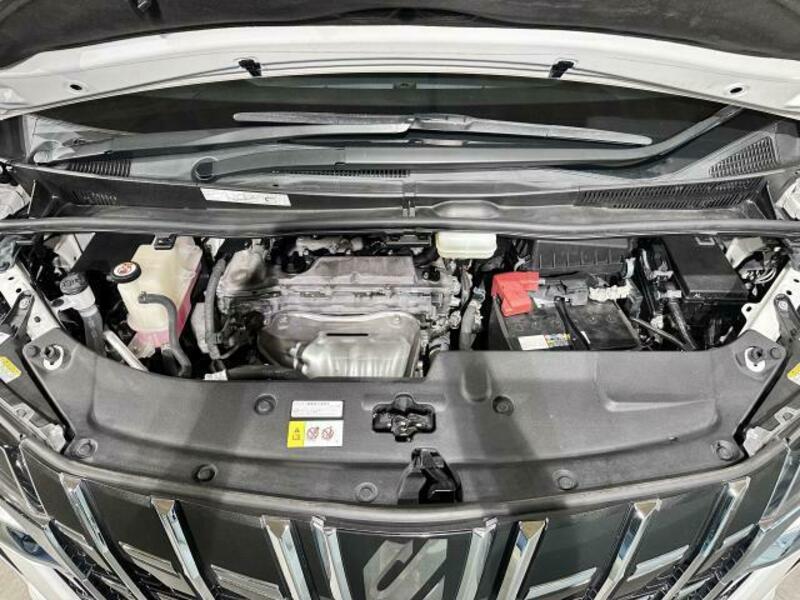 ALPHARD-7