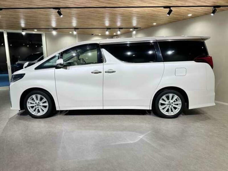 ALPHARD-10