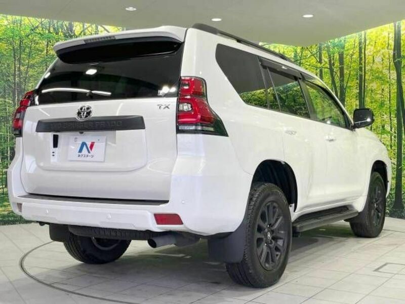 LAND CRUISER PRADO-18